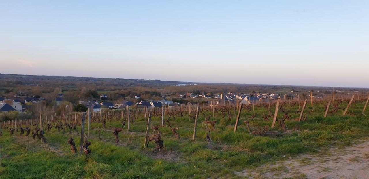 Clos Sainte Catherine Rochefort-sur-Loire ภายนอก รูปภาพ
